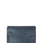 EUROPE CARD HOLDER Il Bisonte Woman