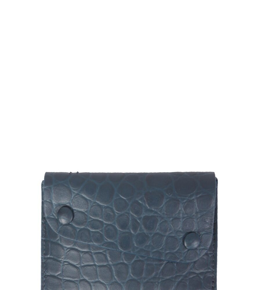 EUROPE CARD HOLDER Il Bisonte Woman